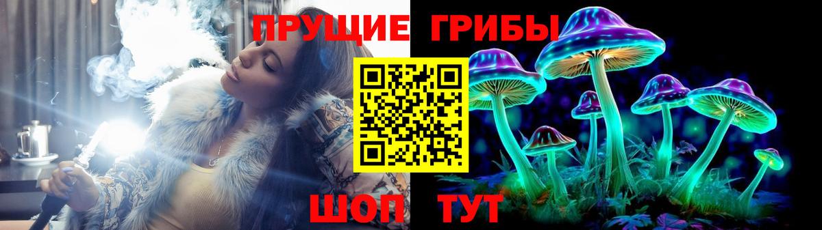 Псилоцибиновые грибы MAGIC MUSHROOMS Тихвин